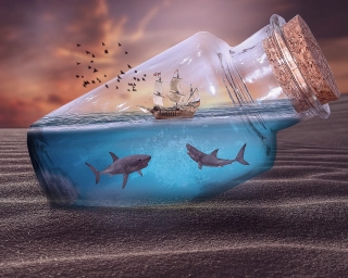 Graphic Design Course in chenni